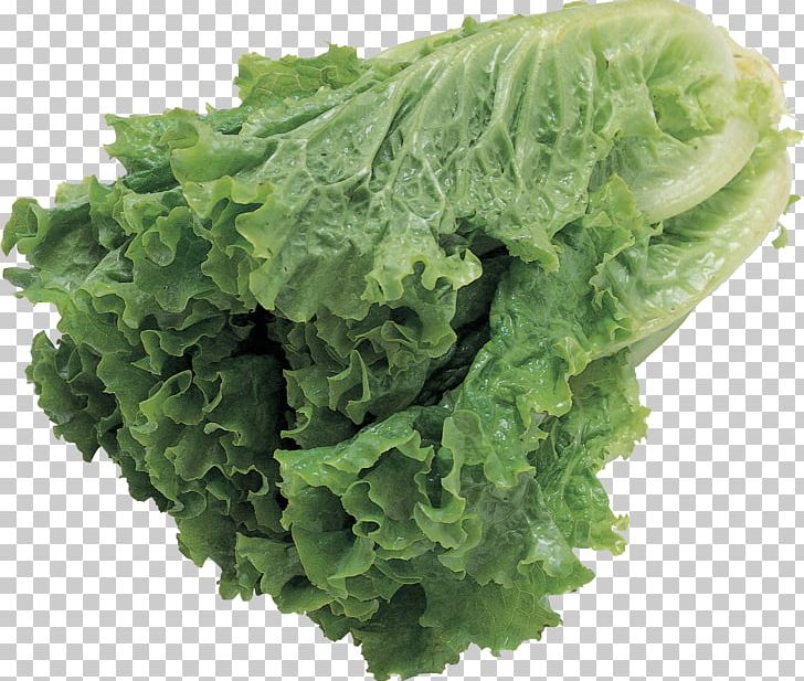 Lettuce Salad PNG, Clipart, Chinese Cabbage, Clipping Path, Collard Greens, Computer Icons, Endive Free PNG Download