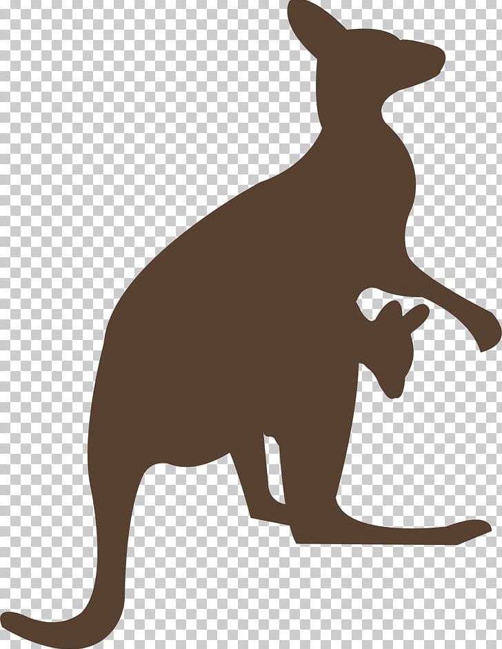 Macropodidae Kangaroo Animal PNG, Clipart, Animal, Animals, Canidae, Carnivora, Carnivoran Free PNG Download