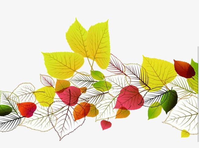 Autumn Leaves Ppt Templates PNG, Clipart, Autumn Clipart, Background, Defoliation, Fall, Leaf Free PNG Download
