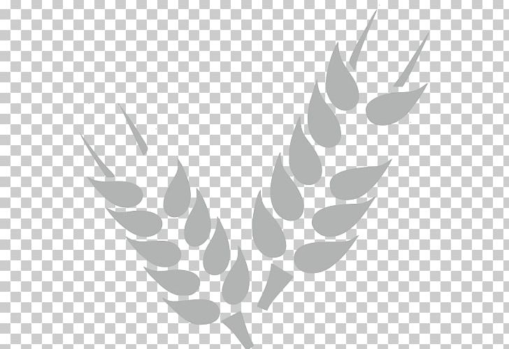 Cereal Computer Icons Wheat Grain Agriculture PNG, Clipart, Agriculture, Angle, Beak, Black And White, Cereal Free PNG Download
