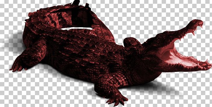 Crocodile PNG, Clipart, Adobe Illustrator, Animal, Animals, Crocodil, Crocodile Free PNG Download