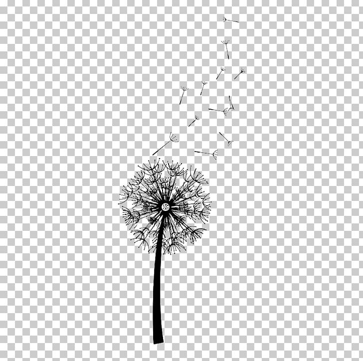 Dandelion PNG, Clipart, Black And White, Black Dandelion, Dandelion Flower, Dandelions, Dandelion Seeds Free PNG Download