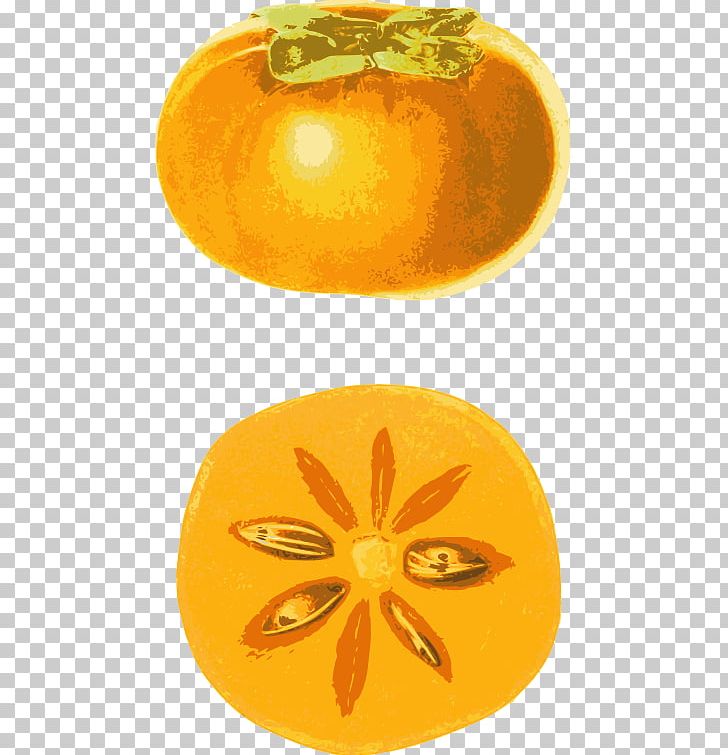 Japanese Persimmon Fruit Food Ebenaceae PNG, Clipart, Amber, Chef, Computer Icons, Dessert, Ebenaceae Free PNG Download