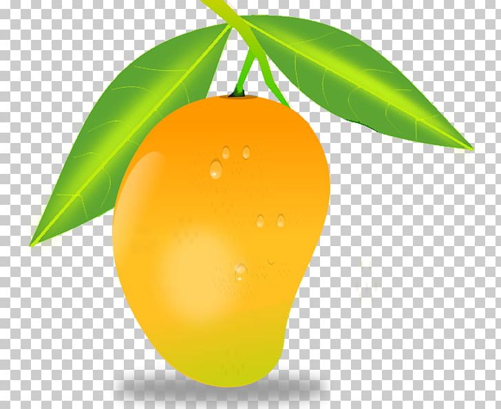 Mango PNG, Clipart, Citrus, Clip Art, Computer Icons, Computer Wallpaper, Download Free PNG Download