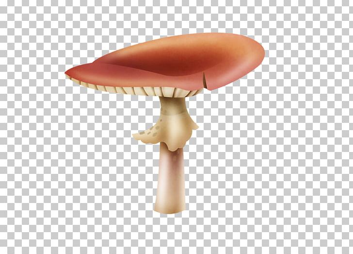Mushroom Shiitake PNG, Clipart, Cartoon, Fungus, Mushroom, Mushroom Cartoon, Nature Free PNG Download