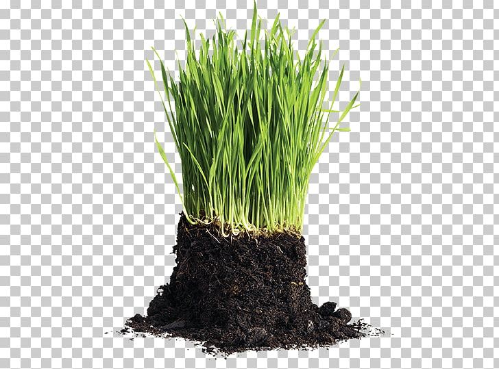 Compost Recycling Waste Manure Topsoil PNG, Clipart, Chrysopogon Zizanioides, Commodity, Compost, Fertilisers, Flowerpot Free PNG Download