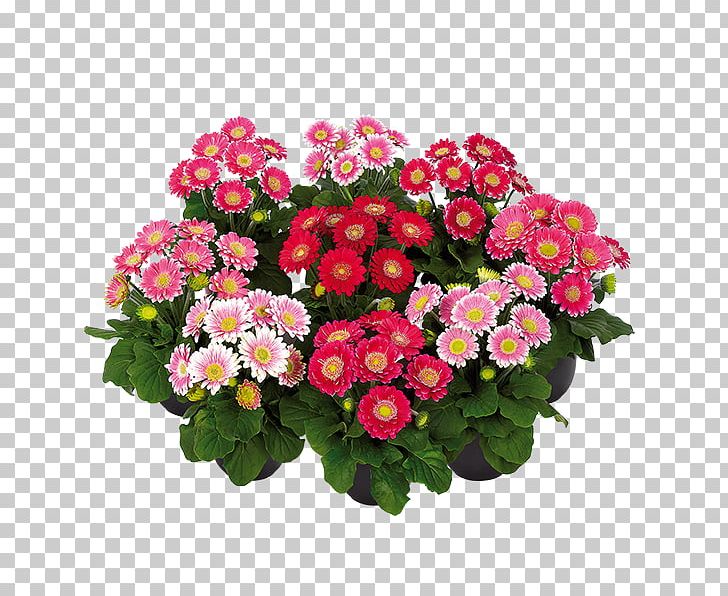 Cut Flowers Floral Design Floristry Artificial Flower PNG, Clipart, Annual Plant, Artificial Flower, Chrysanthemum, Chrysanths, Cut Flowers Free PNG Download