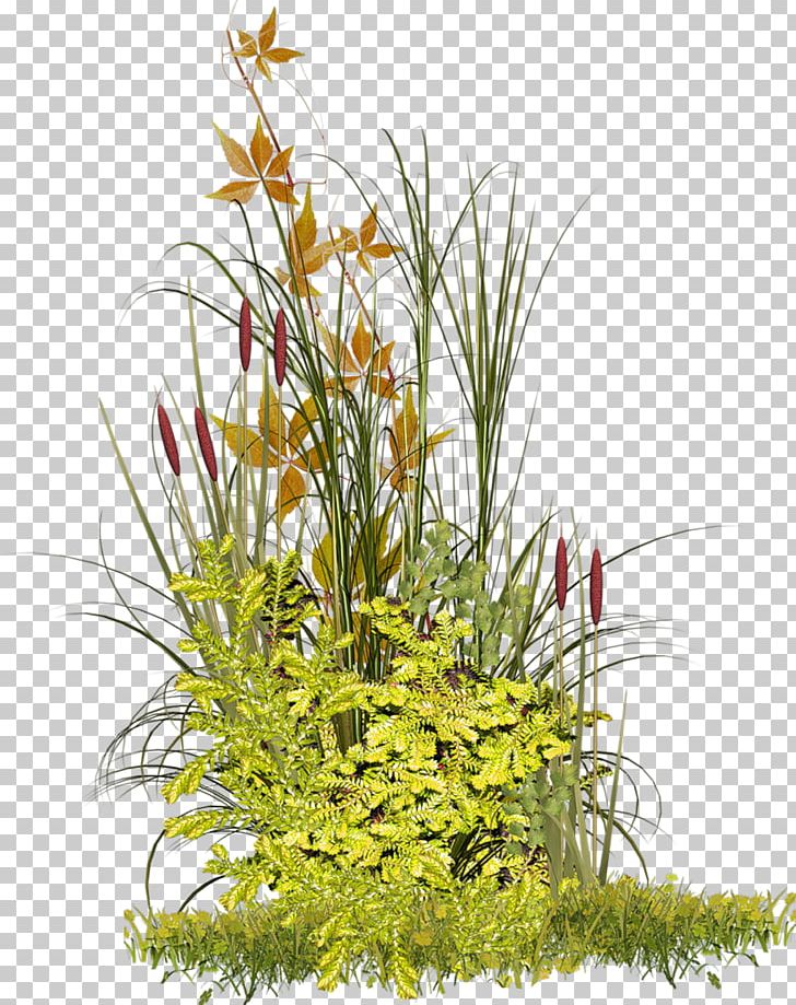 Flower Arranging Photography Branch PNG, Clipart, Animation, Black Dandelion, Branch, Dandelion Flower, Dandelion Seeds Free PNG Download