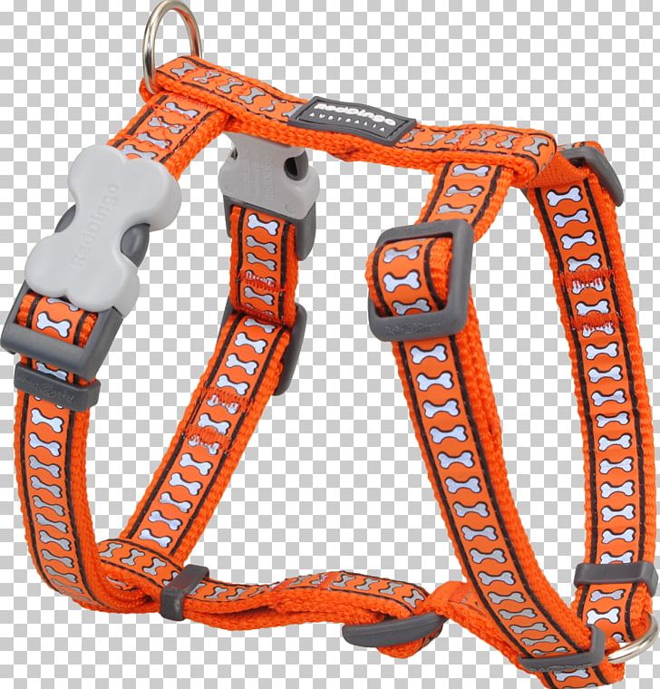 Dingo Dog Harness Puppy Horse Harnesses Dog Collar PNG, Clipart, Cat, Collar, Dingo, Dog, Dog Collar Free PNG Download