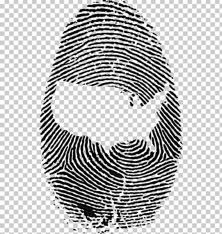 Fingerprint Detective Live Scan Device Fingerprint PNG, Clipart, America Map, Anatomy Art, Area, Black, Black And White Free PNG Download