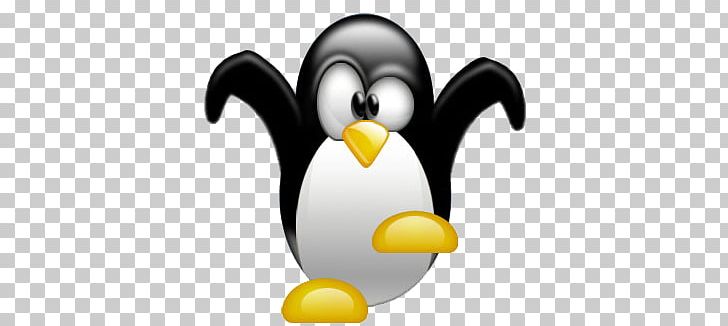 Linux PNG, Clipart, Linux Free PNG Download