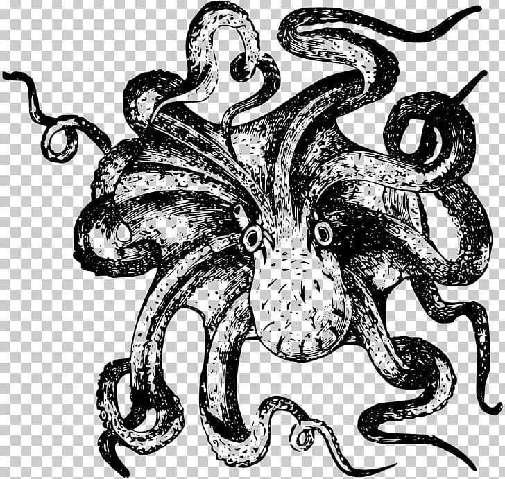 Octopus Squid Drawing PNG, Clipart, Art, Artwork, Black And White, Cephalopod, Clip Art Free PNG Download