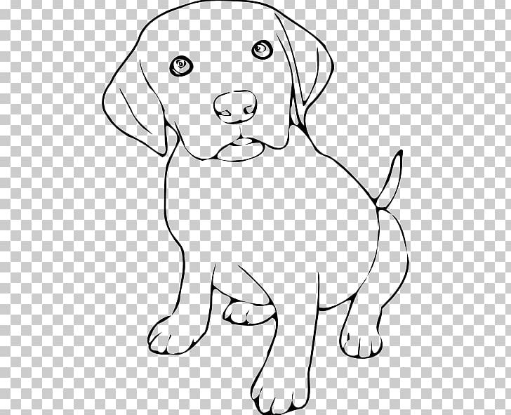 Puppy Labrador Retriever Border Collie Rough Collie PNG, Clipart, Animals, Black, Black And White, Border Collie, Carnivoran Free PNG Download