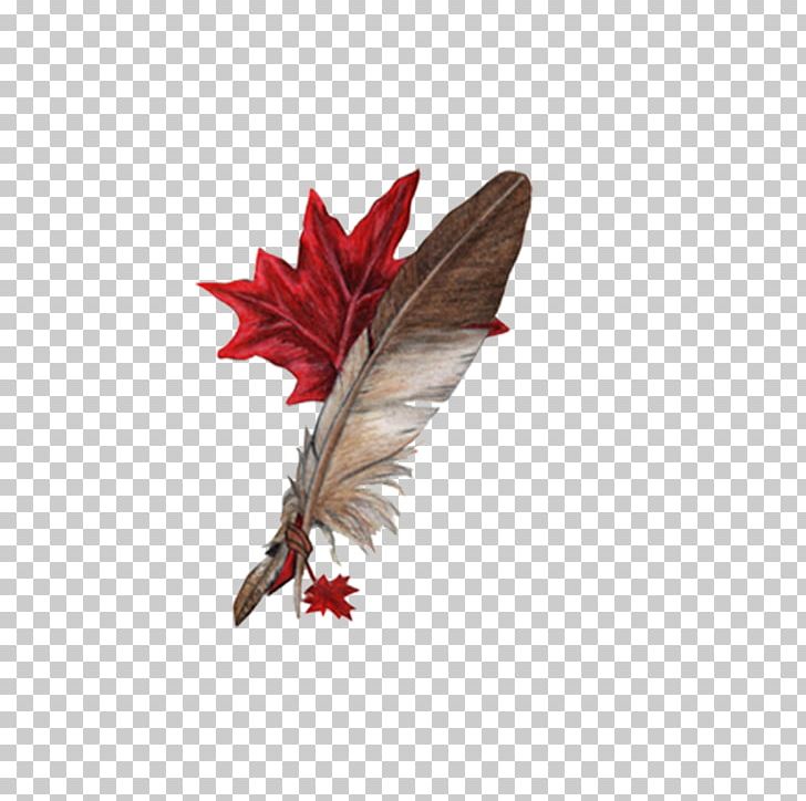 Leaf Peacock Feather Wings PNG, Clipart, Adobe Systems, Angel Wing, Angel Wings, Chicken Wings, Clip Art Free PNG Download