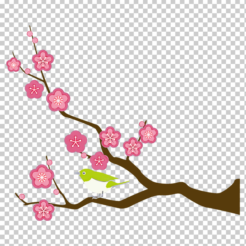 Plum Branch Plum Winter Flower PNG, Clipart, Blossom, Branch, Bud, Cherry Blossom, Flower Free PNG Download