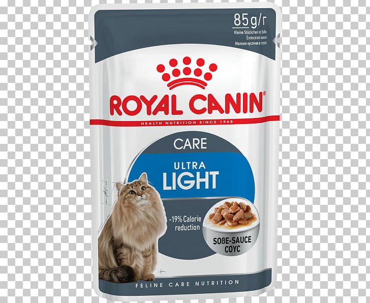 Cat Food Maine Coon Dog Kitten Royal Canin PNG, Clipart, Animals, Calorie, Cat, Cat Food, Cat Health Free PNG Download