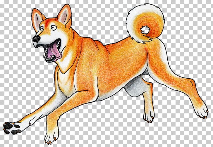Dog Breed Shiba Inu Shikoku Dingo New Guinea Singing Dog PNG, Clipart, Animal, Animal Figure, Breed, Carnivoran, Cartoon Free PNG Download