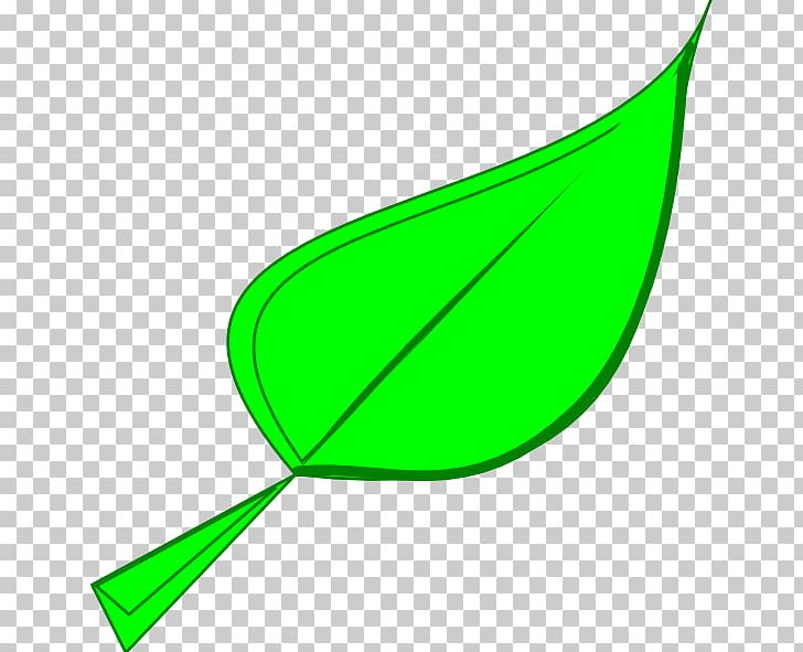 Leaf Drawing PNG, Clipart, Angle, Area, Autumn Leaf Color, Cartoon, Clip Free PNG Download