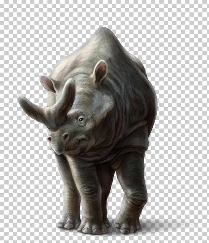 Rhinoceros Megacerops Noah's Ark Animal Elephant PNG, Clipart,  Free PNG Download