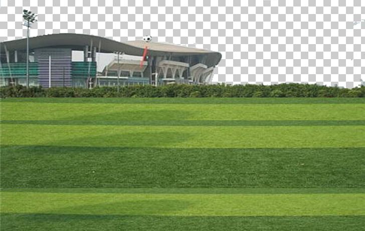 Artificial Turf Lawn Football Pitch PNG, Clipart, Artificial, Artificial Grass, Artificial Intelligence, Basically, Beach Sand Free PNG Download