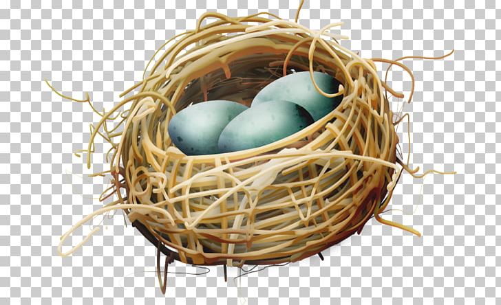 Bird Nest Bird Nest PNG, Clipart, Animals, Basket, Bird, Bird Cage, Download Free PNG Download
