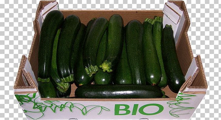 Cucumber Vegetarian Cuisine Local Food Ingredient PNG, Clipart, Cucumber, Cucumber Gourd And Melon Family, Cucumis, Food, Ingredient Free PNG Download