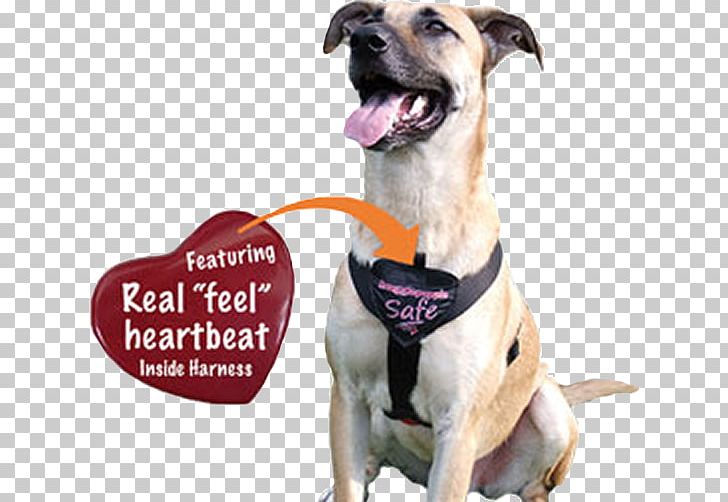 Dog Breed Dog Harness Leash Puppy PNG, Clipart, Animals, Brustgeschirr, Coat, Collar, Dog Free PNG Download