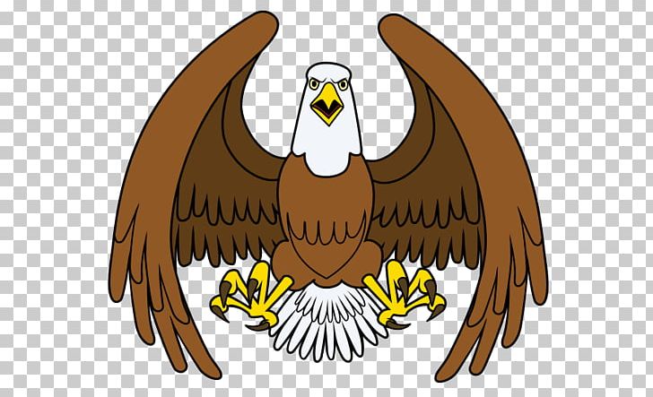 Cartoon Eagle Illustration PNG, Clipart, Animal, Animals, Balloon Cartoon, Beak, Bird Free PNG Download