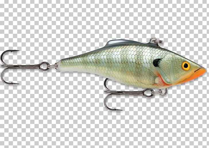 Fishing Baits & Lures Rapala Topwater Fishing Lure PNG, Clipart, Bait, Bluegill, Carp Fishing, Fish, Fish Finders Free PNG Download