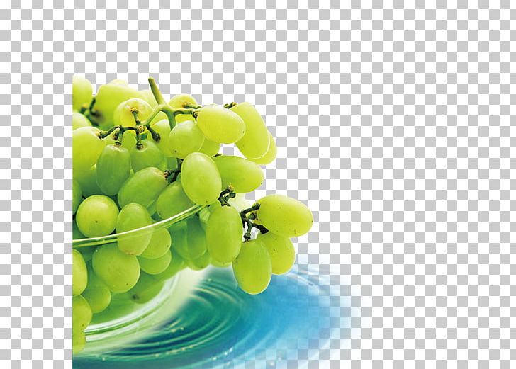 Graphic Design Fruit PNG, Clipart, Apple Fruit, Art, Bowl, Business Card, Computer Wallpaper Free PNG Download