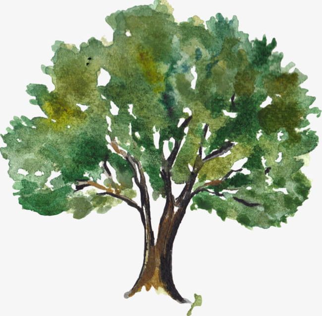 Green Painted Tree Clipart Tree Clipart Tree Art Watercolor Trees ...