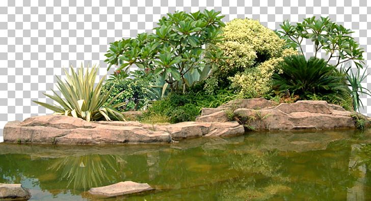 Landscape Rock Garden Computer File PNG, Clipart, Background Green, Bonsai, Creative, Creative Green, Download Free PNG Download