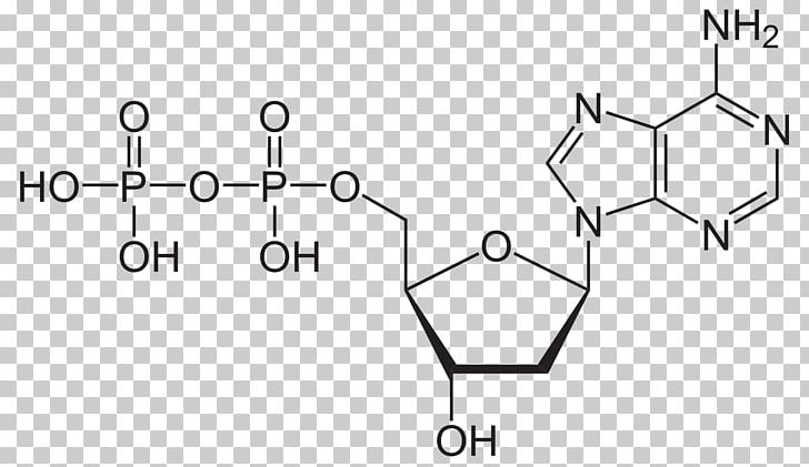 Adenosine Diphosphate Adenosine Triphosphate Molecule Pyrophosphate PNG, Clipart, Adenine, Adenosine, Adenosine Diphosphate, Adenosine Monophosphate, Angle Free PNG Download