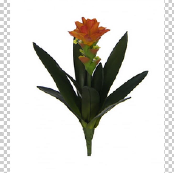 Flowerpot Artificial Flower Cut Flowers Plant Stem PNG, Clipart, Artificial Flower, Canna, Canna Family, Cut Flowers, Flower Free PNG Download