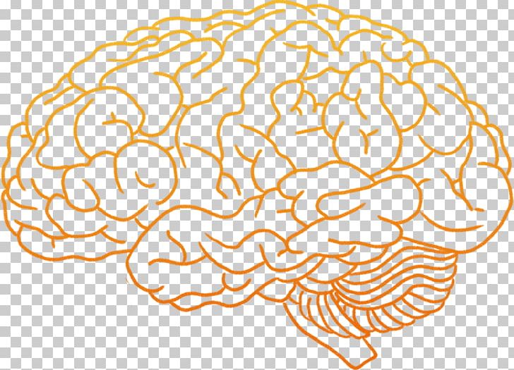 Human Brain PNG, Clipart, Area, Brain, Brain Gear, Clip Art, Desktop Wallpaper Free PNG Download