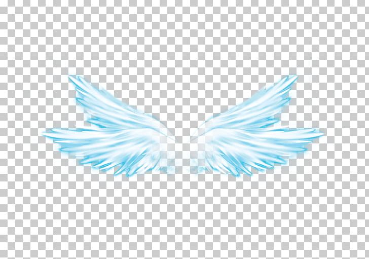 Wing Butterfly Overlay Feather PNG, Clipart, Brush, Butterfly, Computer Wallpaper, Desktop Wallpaper, Fairy Free PNG Download
