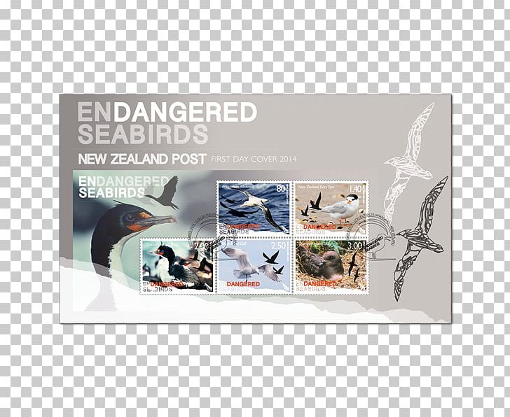 Advertising PNG, Clipart, Advertising, Others, Seabird Free PNG Download