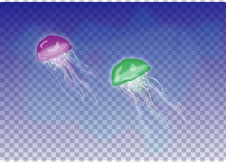 Blue Jellyfish PNG, Clipart, Animals, Aquatic Animal, Blue Jellyfish, Cnidaria, Computer Icons Free PNG Download