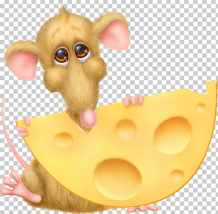 Cheese PNG, Clipart, Albom, Animals, Carnivoran, Cartoon, Cheese Free PNG Download