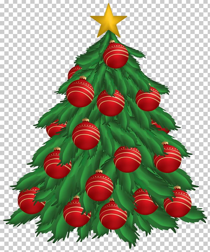 Christmas Ornament Christmas Decoration Christmas Tree PNG, Clipart, Christmas, Christmas Decoration, Christmas Ornament, Christmas Tree, Conifer Free PNG Download