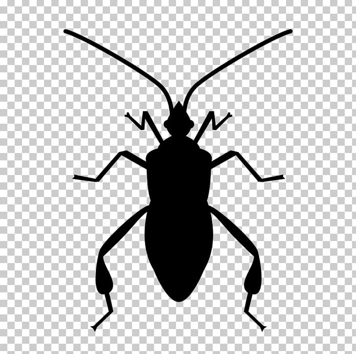 Insect Software Bug Bug Swatter Computer Icons PNG, Clipart, Animals, Arthropod, Beetle, Black And White, Bugs Free PNG Download
