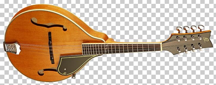 Musical Instruments String Instruments Mandolin Acoustic Guitar PNG, Clipart, Amancio Ortega, Cuatro, Guitar Accessory, Lute, Musical Instrument Free PNG Download