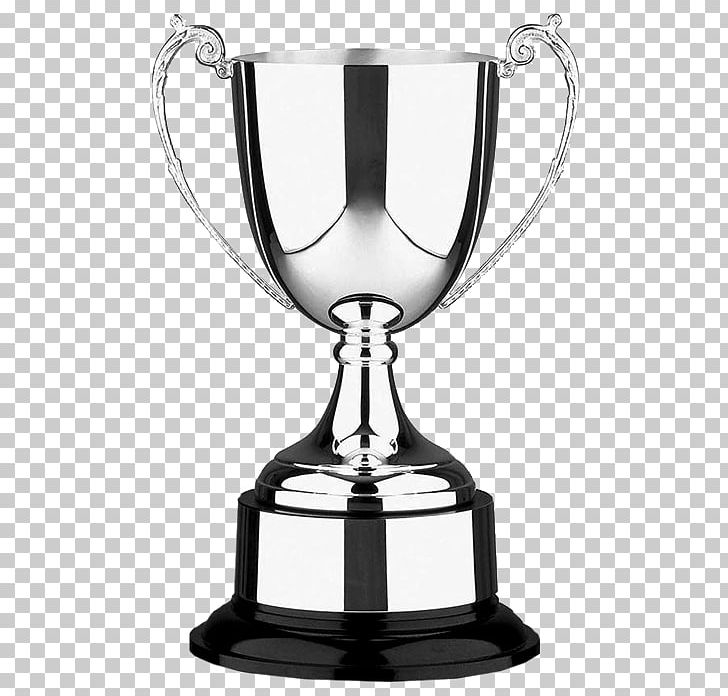 Trophy Plating Medal Cup Silver PNG, Clipart, Acrylic Trophy, Award, Bowl, Commemorative Plaque, Cup Free PNG Download