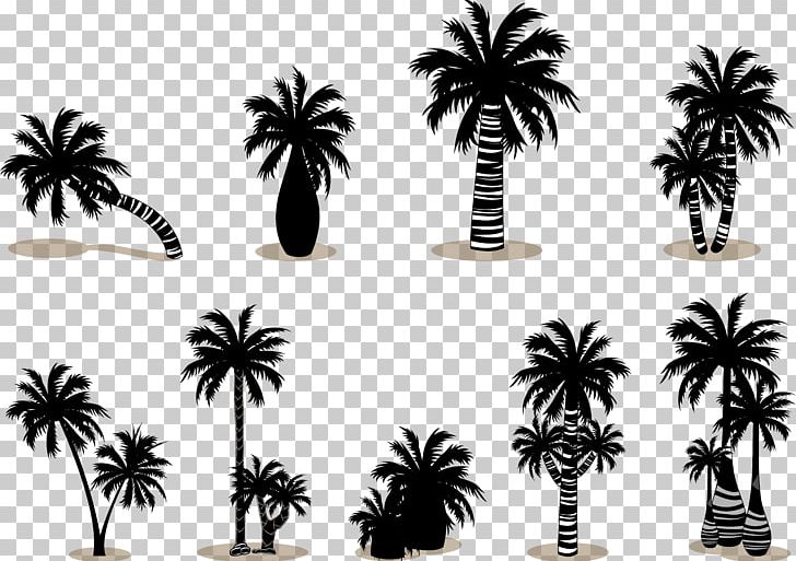 Arecaceae Silhouette Scalable Graphics PNG, Clipart, Arecales, Black And White, Christmas Tree, Coco, Coconut Free PNG Download