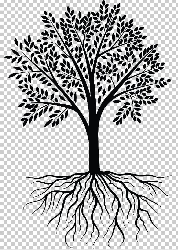 Tree Wall Decal PNG, Clipart, Black And White, Branch, Color, Decal, Drawing Free PNG Download