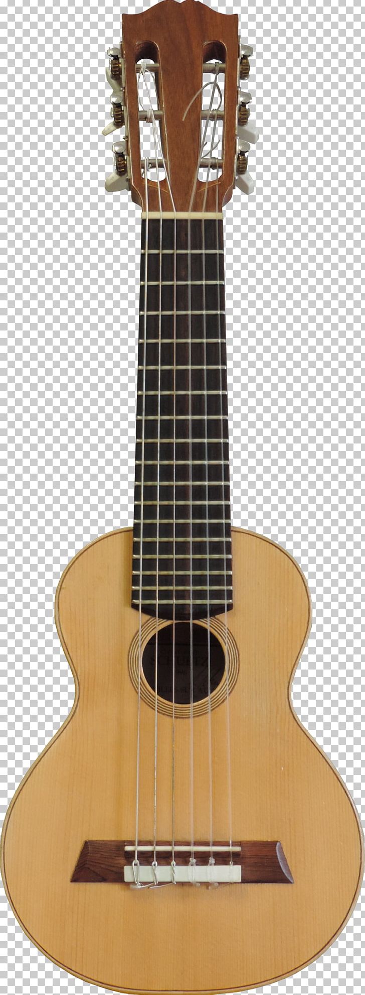 Acoustic Guitar Parlor Guitar Classical Guitar Dreadnought PNG, Clipart, Acoustic Electric Guitar, Classical Guitar, Cuatro, Guitar Accessory, Musical Instruments Free PNG Download