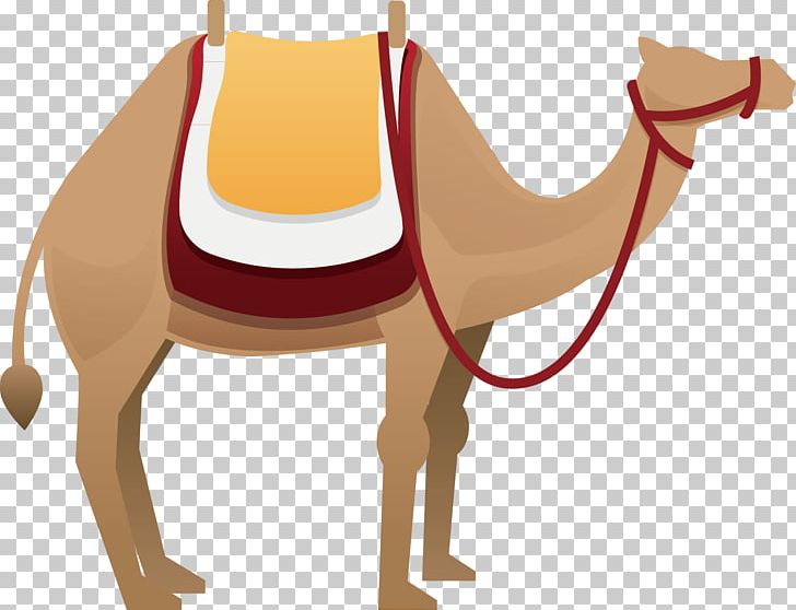 Camel Euclidean PNG, Clipart, Adobe Illustrator, Animals, Camel Like Mammal, Camel Vector, Christmas Decoration Free PNG Download