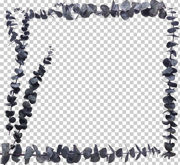 Frames Photography Petal PNG, Clipart, Auglis, Bead, Body Jewelry, Bracelet, Cicek Free PNG Download