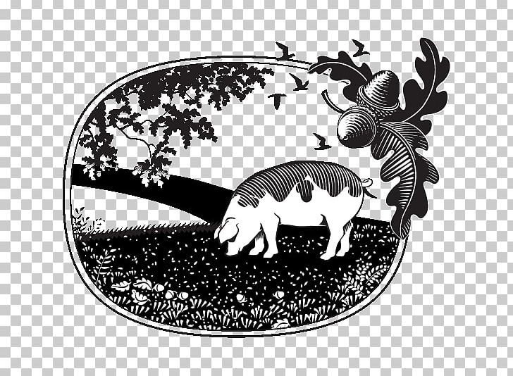 Horse White Mammal PNG, Clipart, Animals, Art School, Black And White, Christopher, Devon Free PNG Download