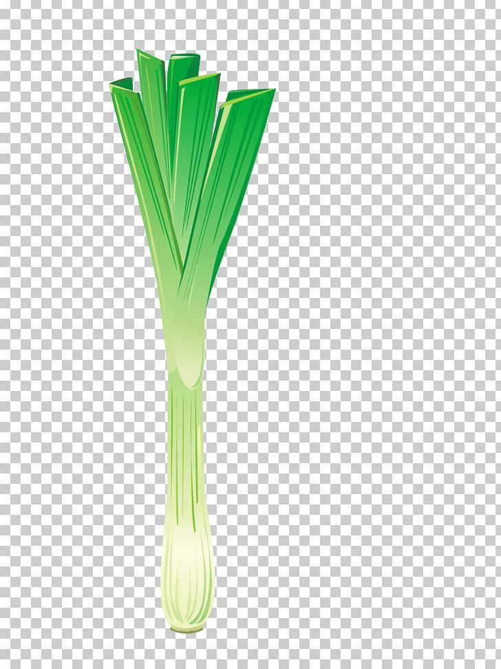 Shallot Scallion PNG, Clipart, Adobe, Allium Fistulosum, Background Green, Encapsulated Postscript, Food Drinks Free PNG Download